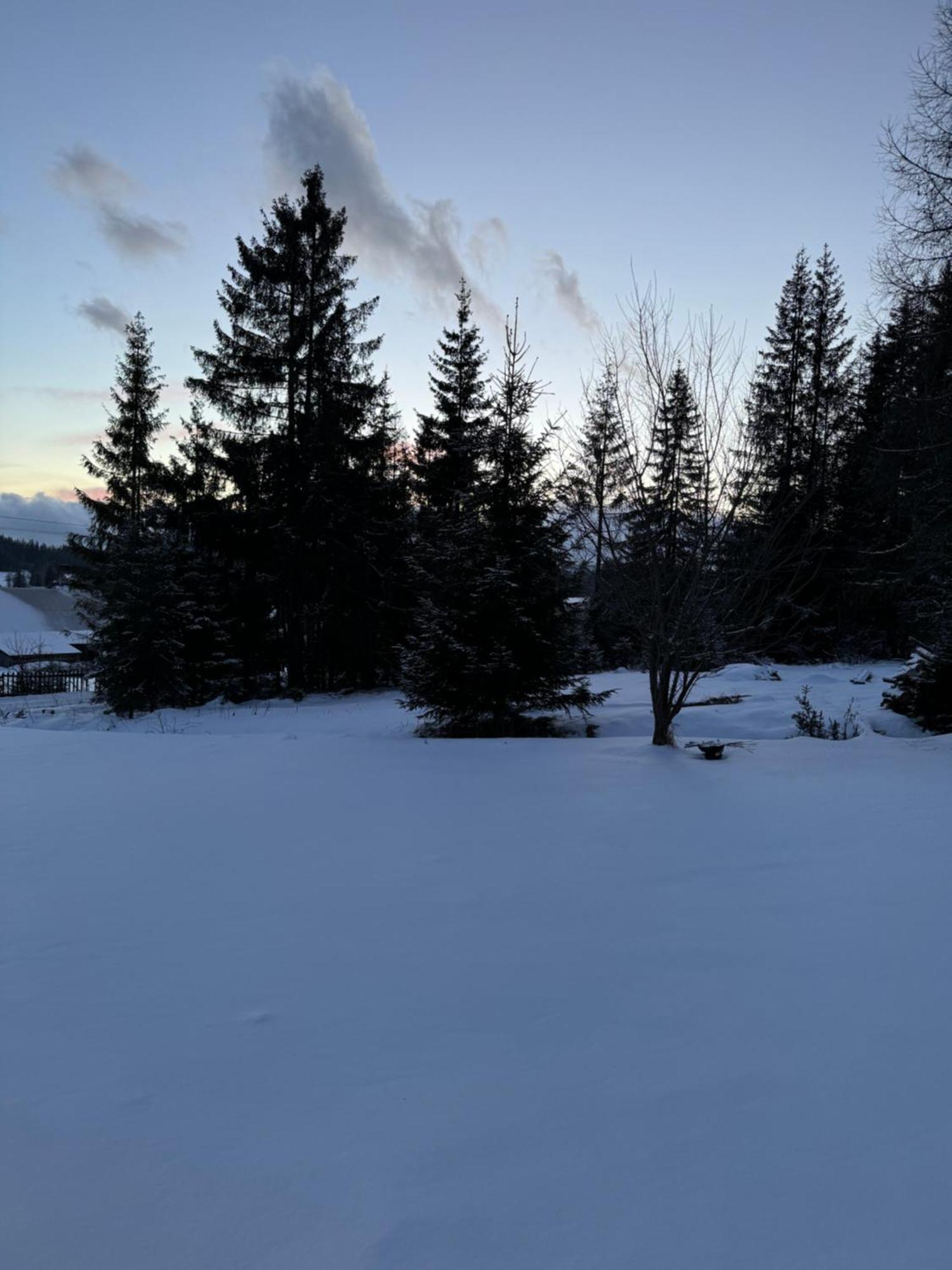 Orawska Knieja 2.0 Villa Lipnica Wielka Bagian luar foto