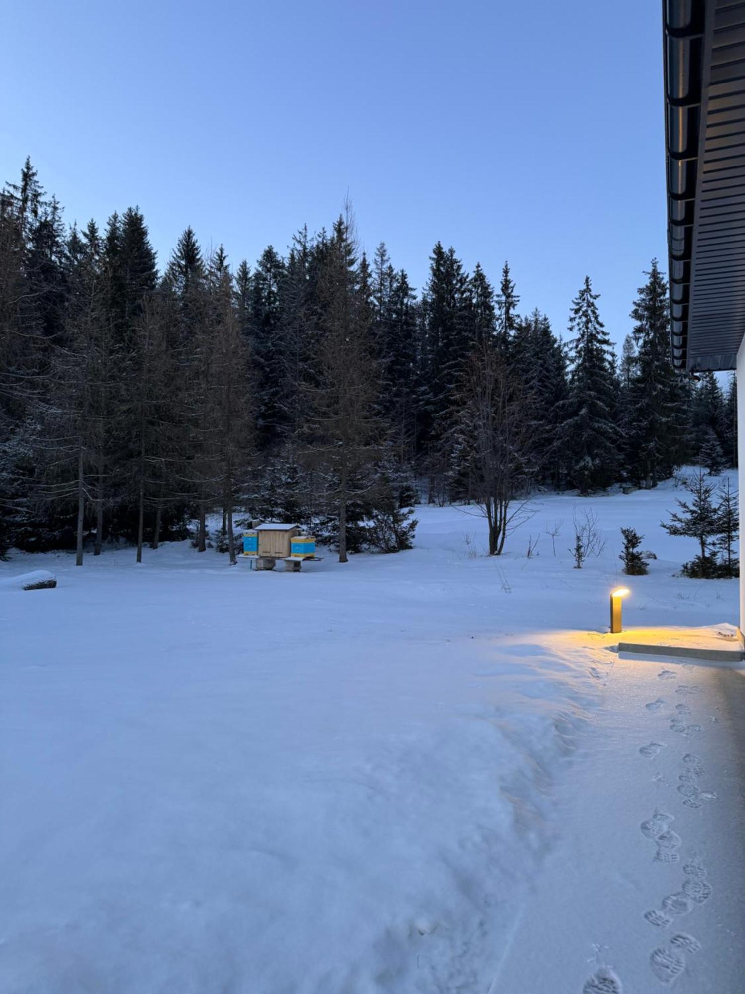 Orawska Knieja 2.0 Villa Lipnica Wielka Bagian luar foto